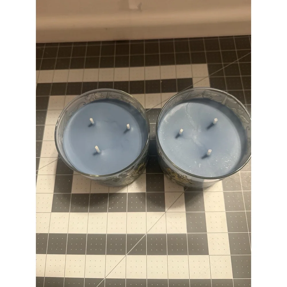 New Set of 2 Bath & Body Works Garden Weather 3 Wick Candle 14.5OZ